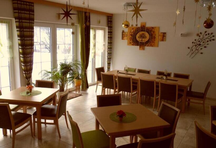 مبيت وإفطار Pension Maier