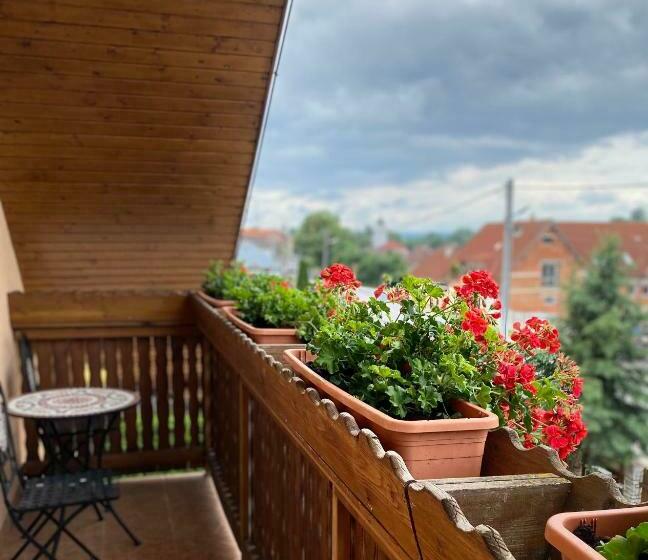 צימר Penzión Vila Petra Bed&breakfast