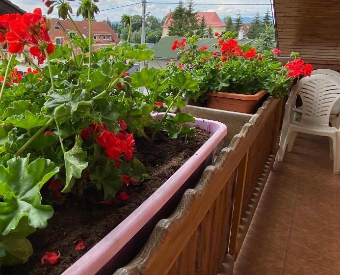 住宿加早餐  Penzión Vila Petra Bed&breakfast