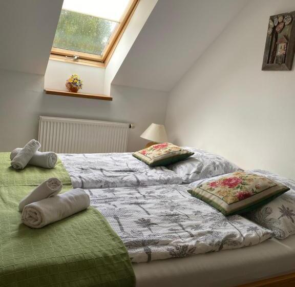 住宿加早餐  Penzión Vila Petra Bed&breakfast