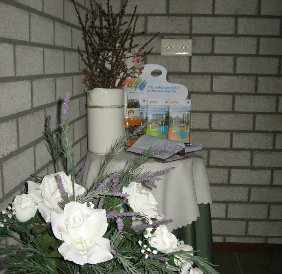 민박 Rustpunt Groote Heide