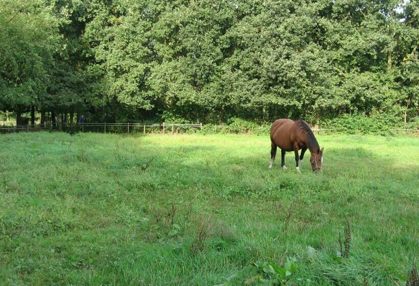 민박 Rustpunt Groote Heide