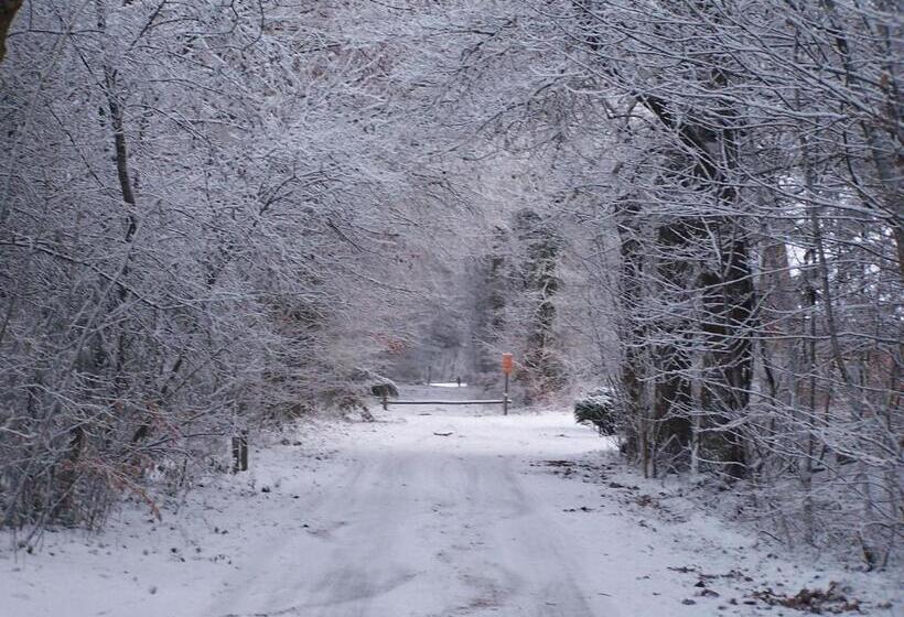 تختخواب و صبحانه T Ossenschot