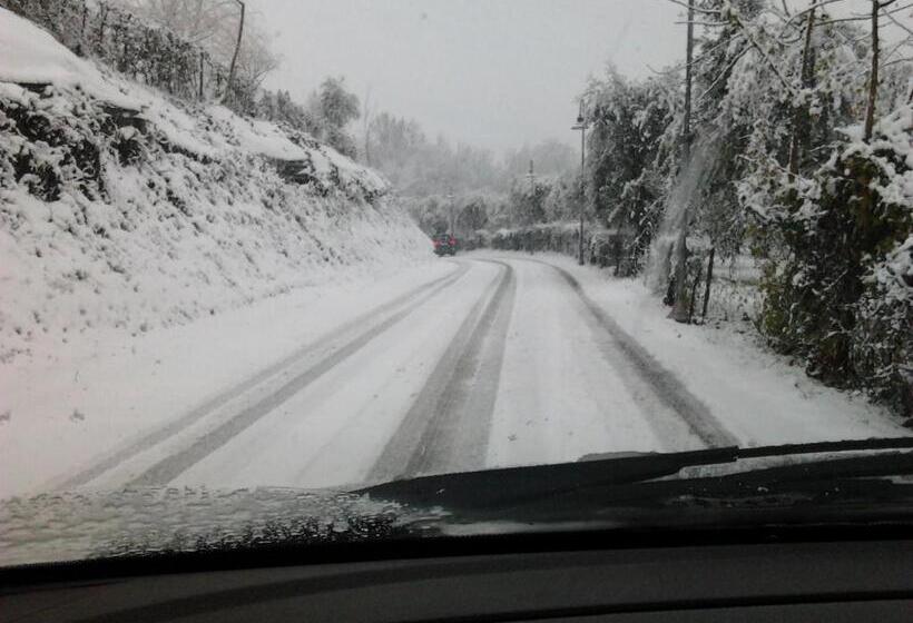 Bed & Breakfast Castello