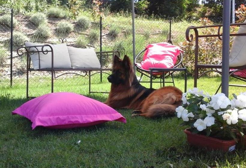 Cumana Blu Apartments