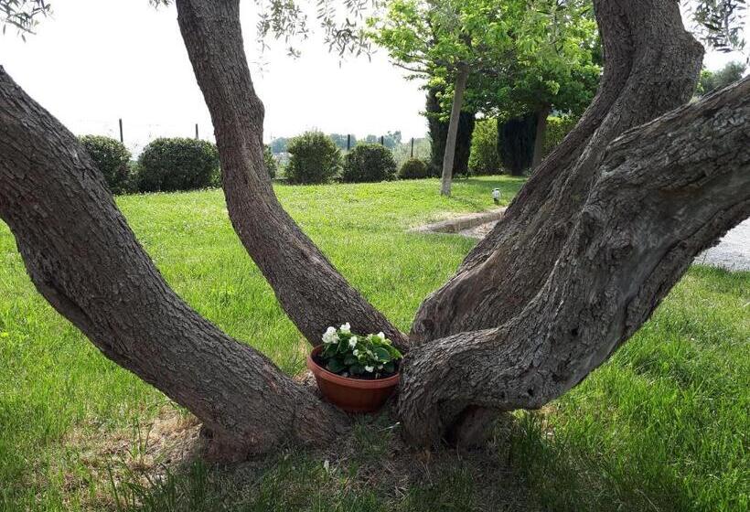 Cumana Blu Apartments