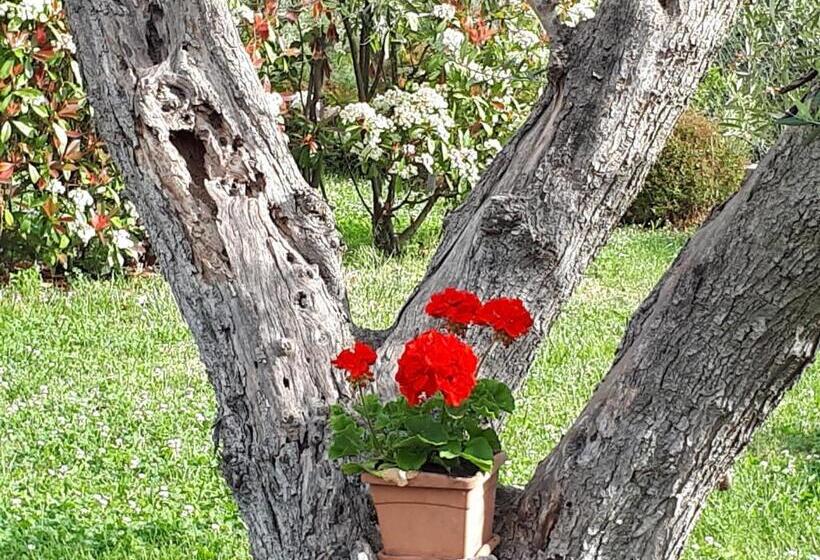 Cumana Blu Apartments