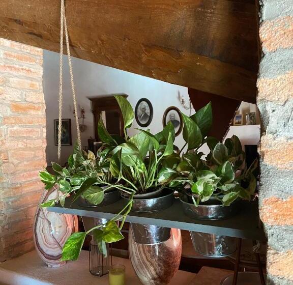 Dd Clara Bed And Breakfast