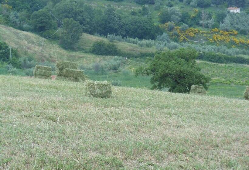 فندق Agriturismo Collomici