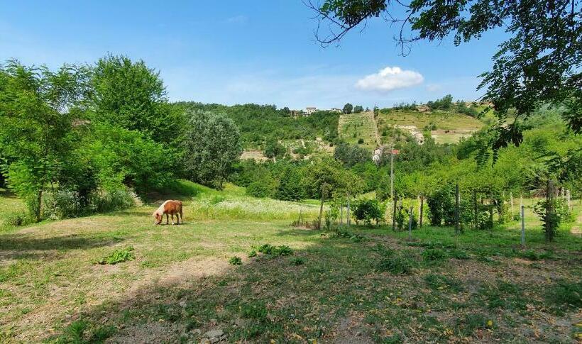 호텔 Agriturismo Il Burlino Apartments