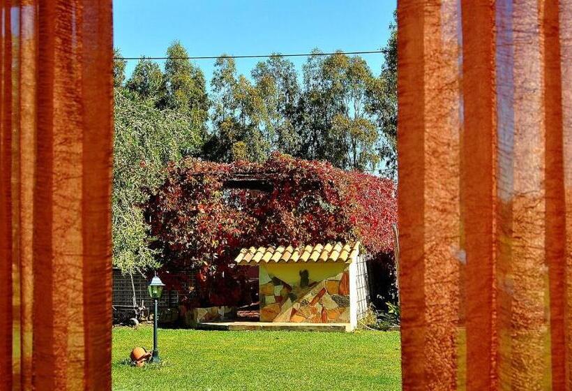 בית מלון כפרי Agriturismo Monte Majore