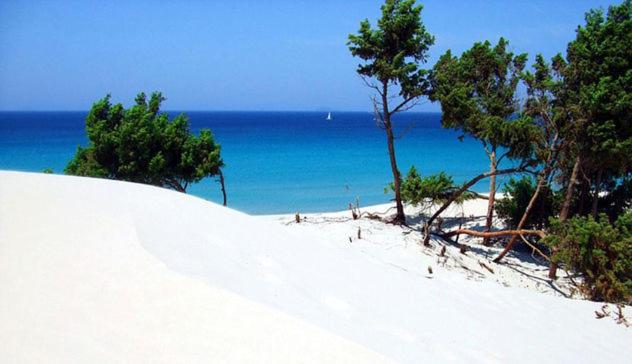 בית מלון כפרי Agriturismo Monte Majore