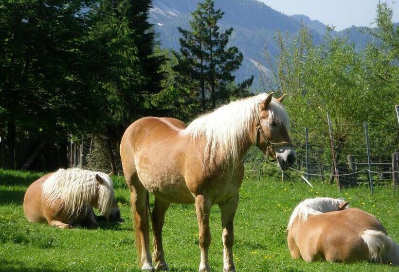 בית מלון כפרי Berghof Thurnergut