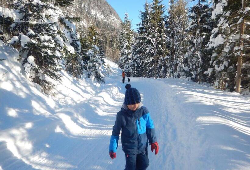 فندق Berghof Thurnergut