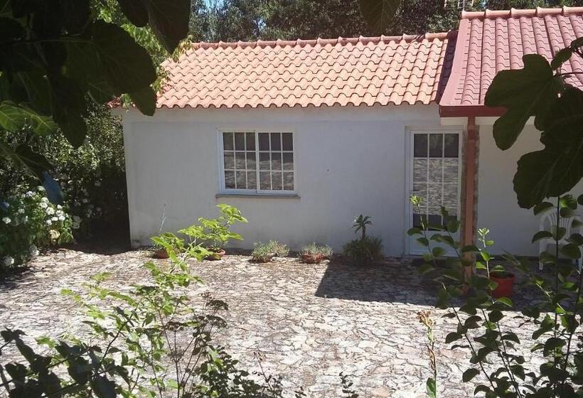 ホテル Casa Boavista