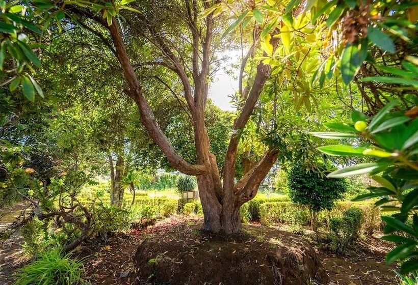 호텔 Casa Da Tia Clementina