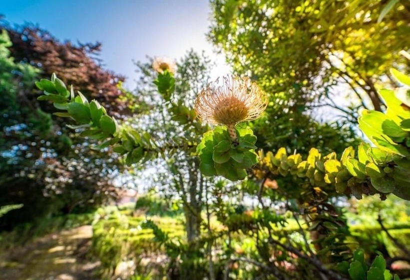 호텔 Casa Da Tia Clementina