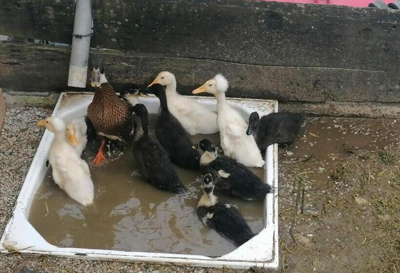 호텔 Familienbauernhof Imitz, Ferienwohnung