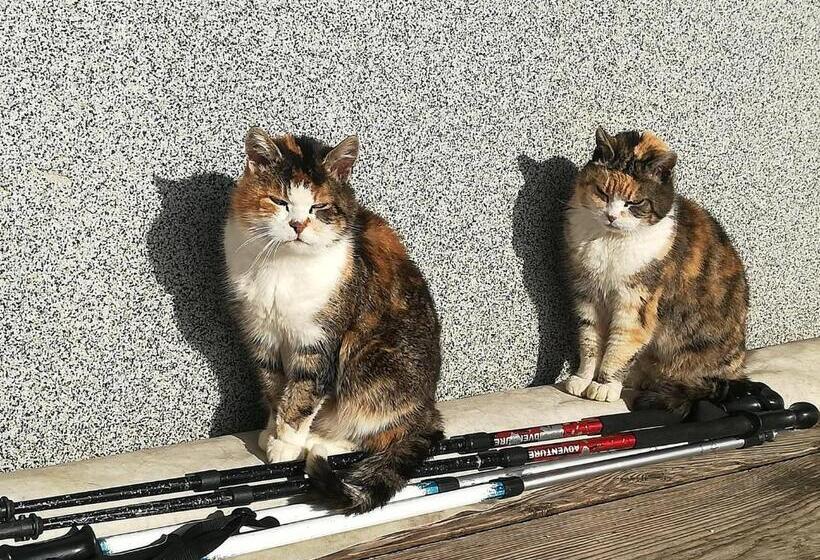 호텔 Familienbauernhof Imitz, Ferienwohnung