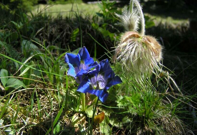 בית מלון כפרי Ferienhaus Pirker