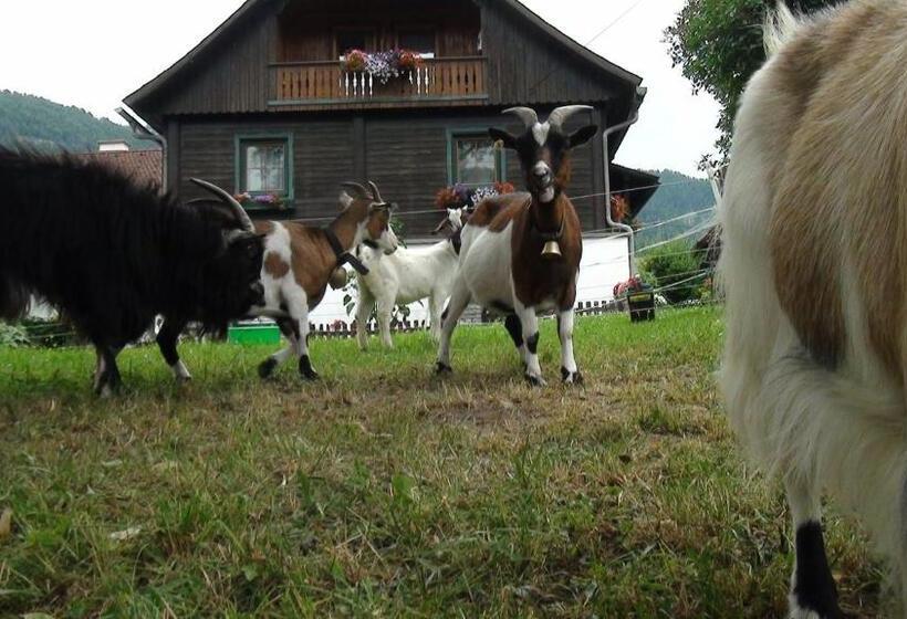 בית מלון כפרי Harreiterhof