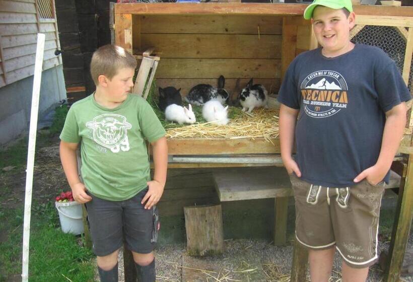 فندق Harreiterhof