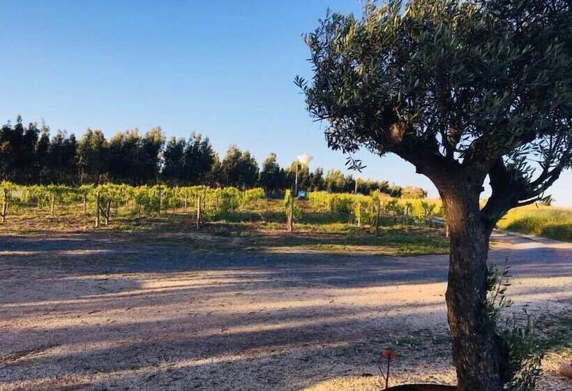 호텔 Monte Da Boavista