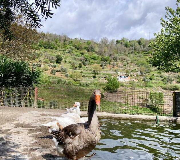 ホテル Private Douro  Quinta Das Susandas