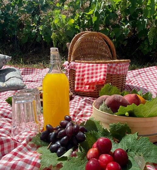 ホテル Private Douro  Quinta Das Susandas