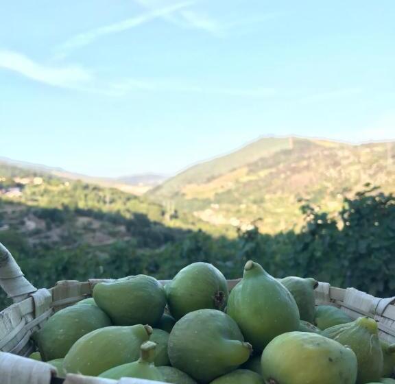 ホテル Private Douro  Quinta Das Susandas