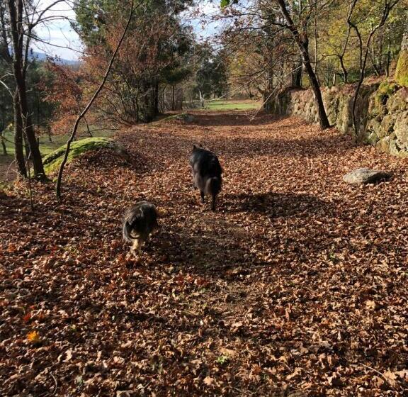 호텔 Quinta Casa Da Fonte