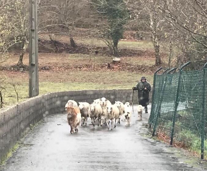 호텔 Quinta Casa Da Fonte