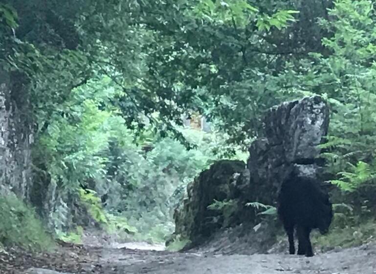 호텔 Quinta Casa Da Fonte