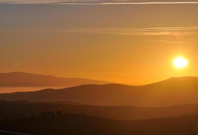 ホテル Quinta Rota D  Oliveira