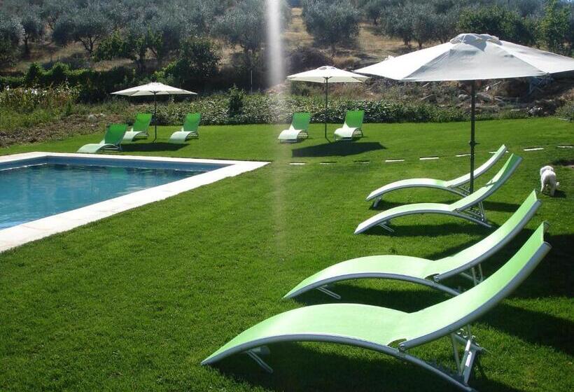 ホテル Quinta Rota D  Oliveira