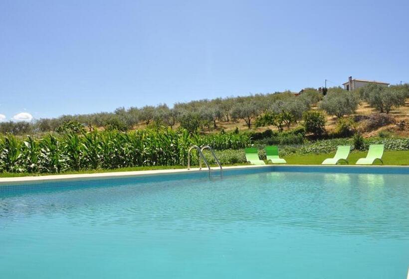 ホテル Quinta Rota D  Oliveira