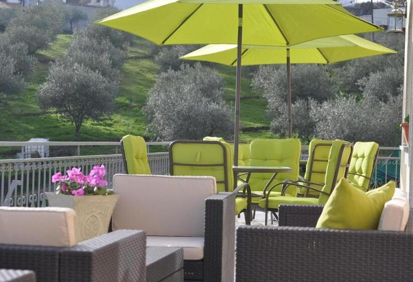 ホテル Quinta Rota D  Oliveira