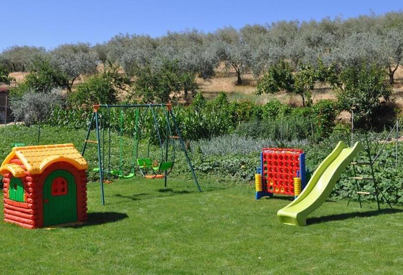 ホテル Quinta Rota D  Oliveira