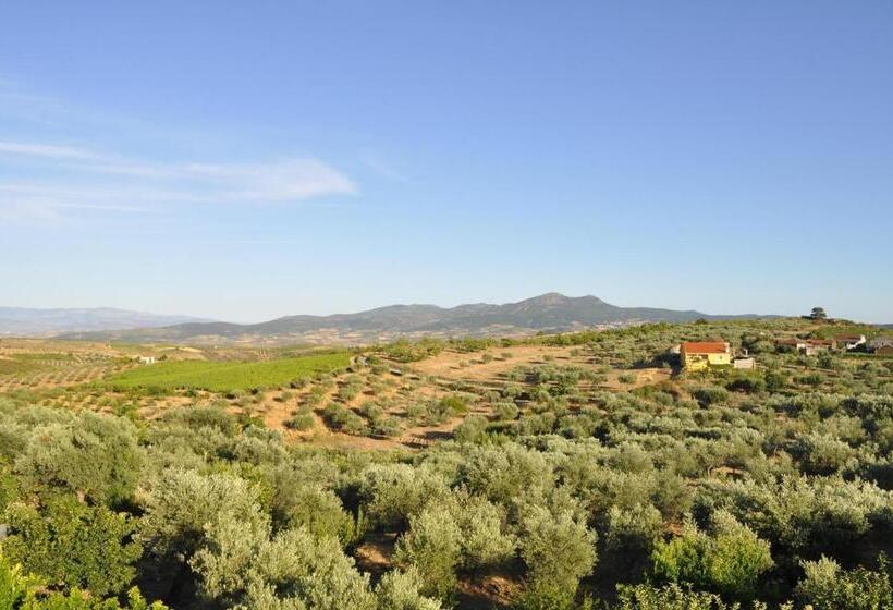 בית מלון כפרי Quinta Rota D  Oliveira