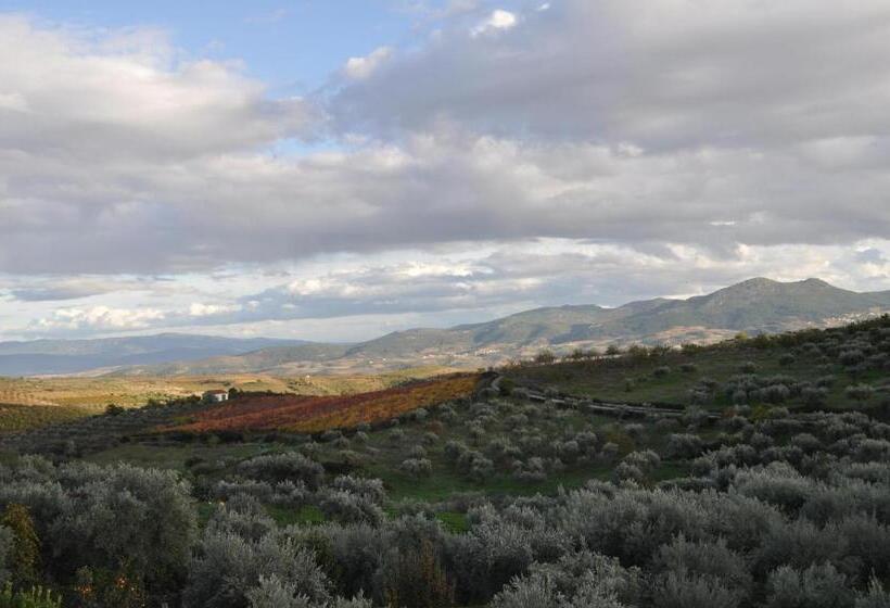 ホテル Quinta Rota D  Oliveira