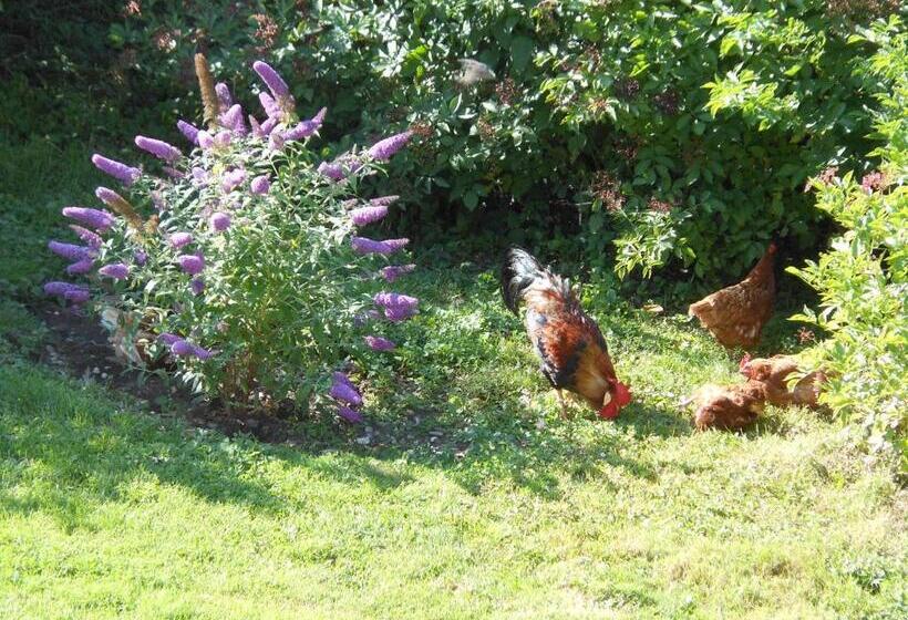 酒店 Westfalenhof Garni