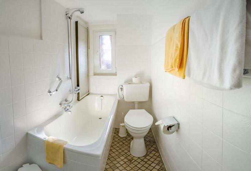 酒店 Westfalenhof Garni