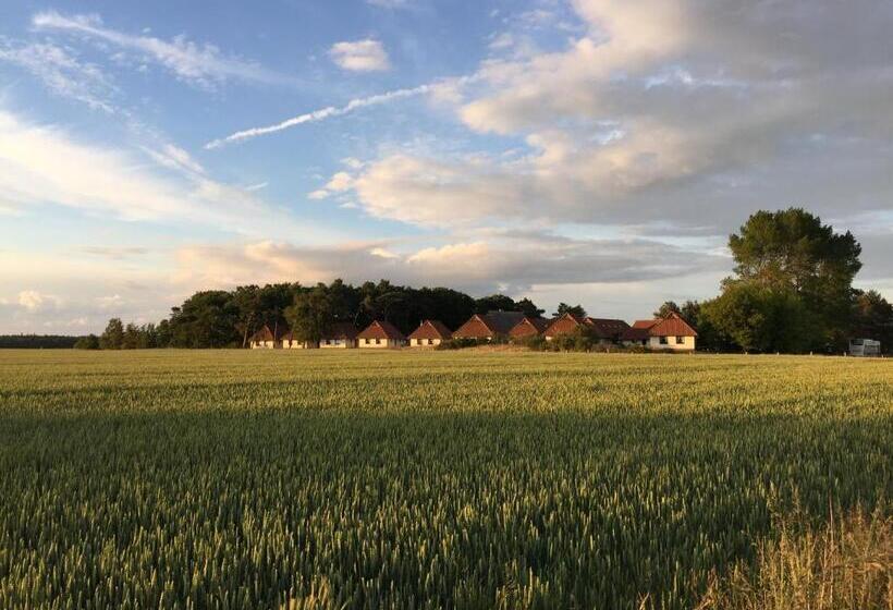 Jugendtours Feriendorf Ummanz