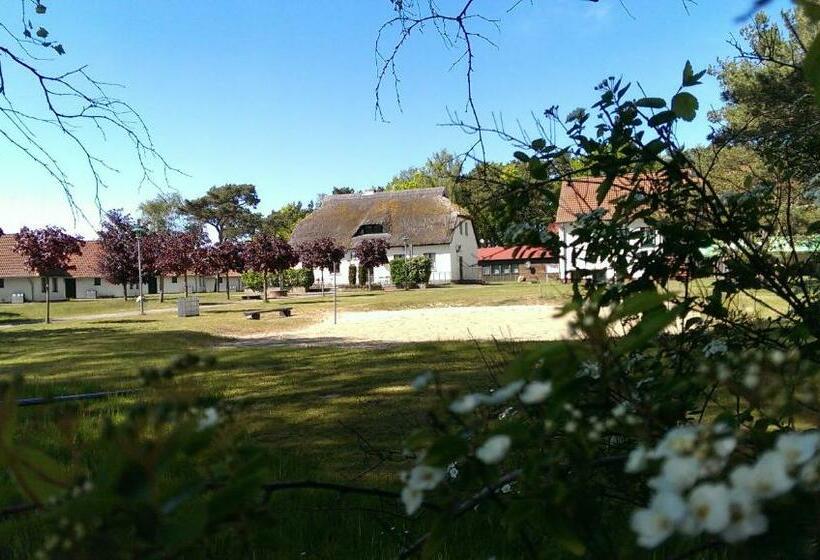 Jugendtours Feriendorf Ummanz