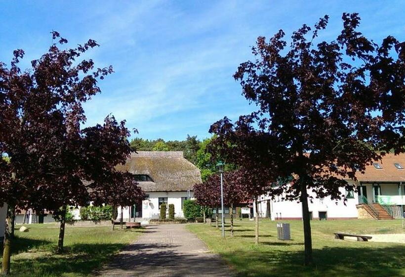 Jugendtours Feriendorf Ummanz