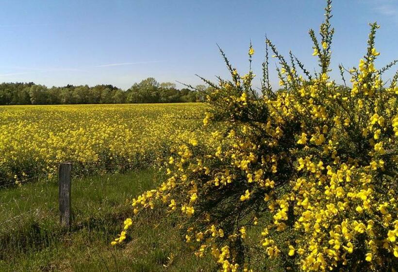 Jugendtours Feriendorf Ummanz