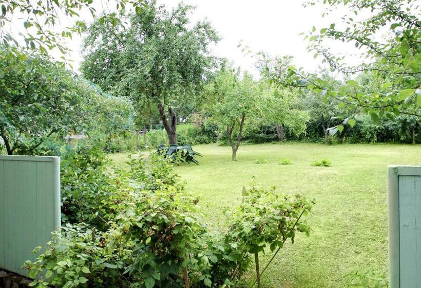 Kraavi Guest Hostel