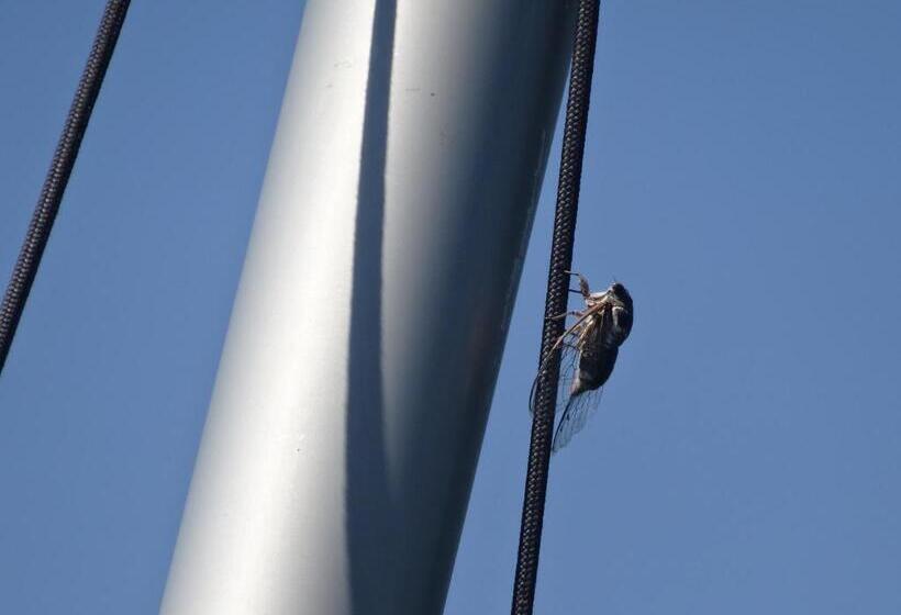 La Luna Of Marseille Villa D Architecte B&b