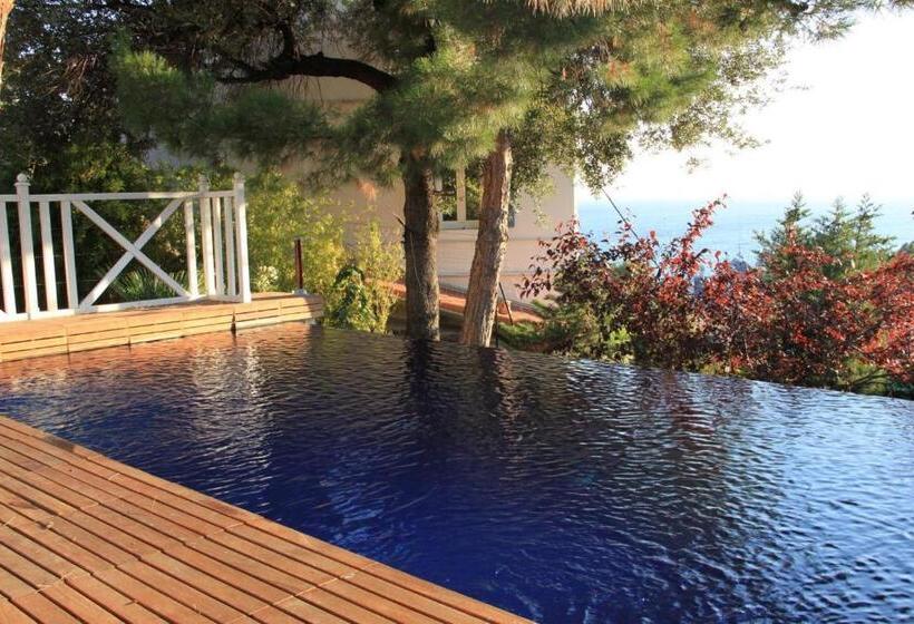 La Luna Of Marseille Villa D Architecte B&b