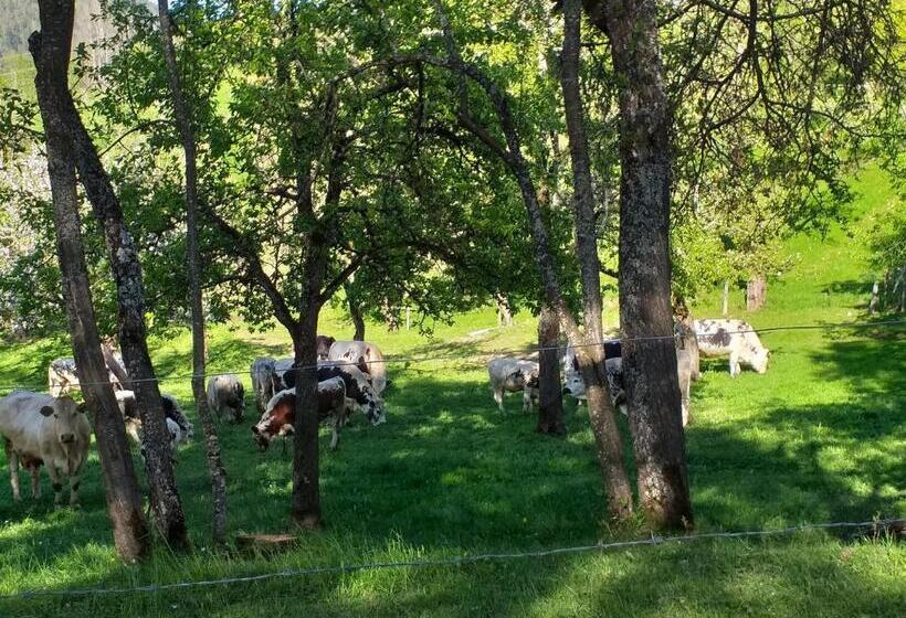 Landhotel Oberwengerhof